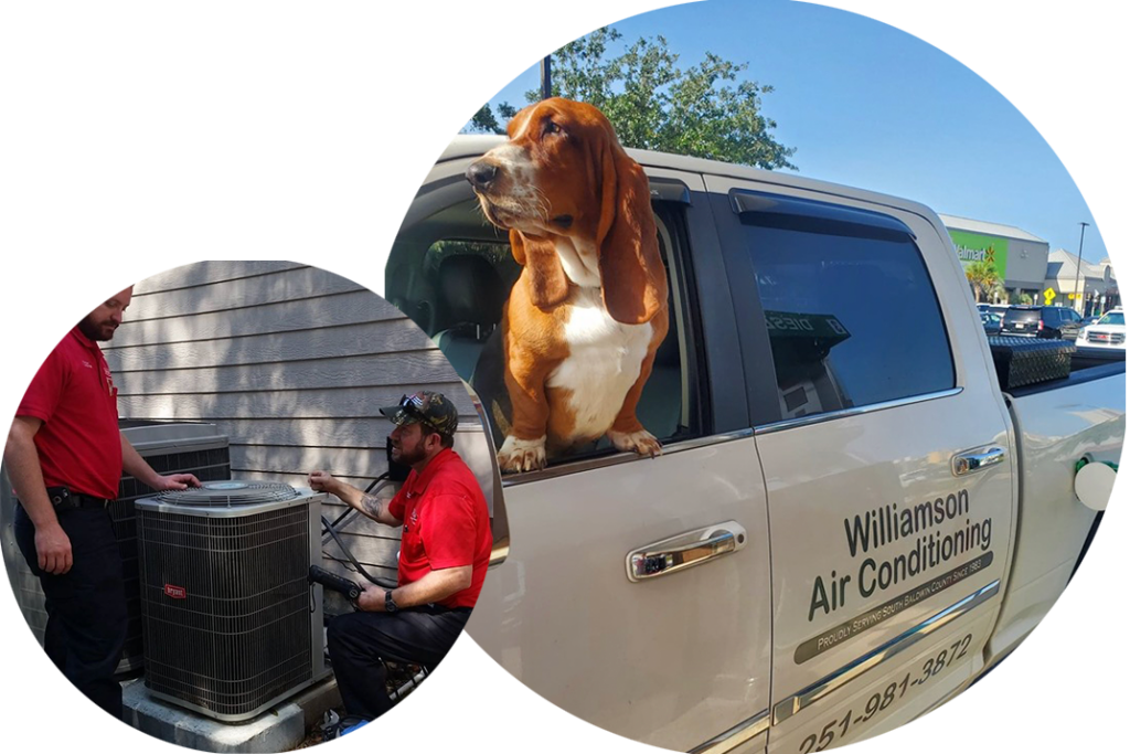 Heating Air Company Orange Beach, AL Williamson Air Conditioning